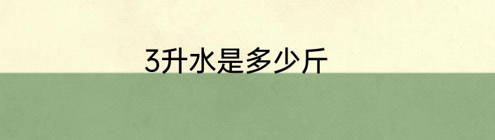 3升水是多少斤