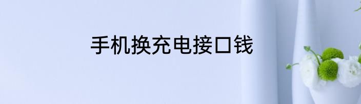 手机换充电接口钱