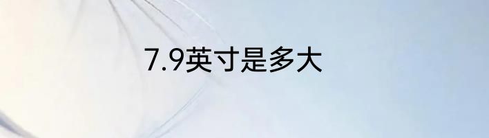 7.9英寸是多大