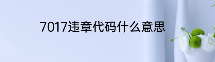 7017违章代码什么意思