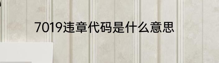 7019违章代码是什么意思
