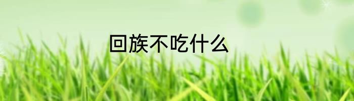 回族不吃什么