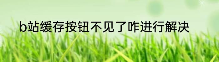b站缓存按钮不见了咋进行解决