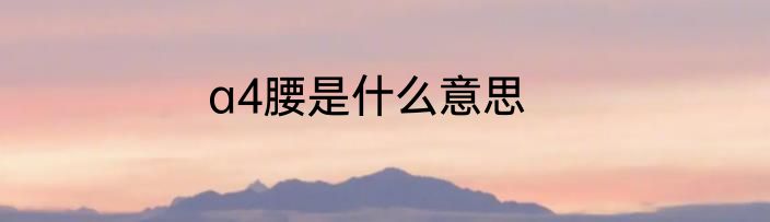 a4腰是什么意思