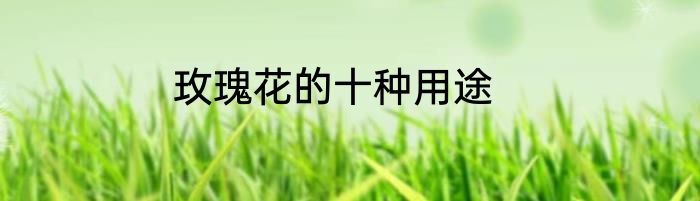 玫瑰花的十种用途