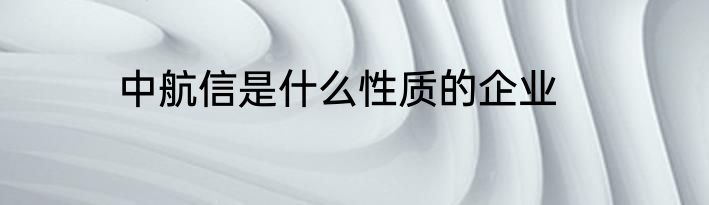 中航信是什么性质的企业