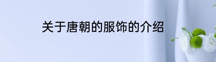 关于唐朝的服饰的介绍