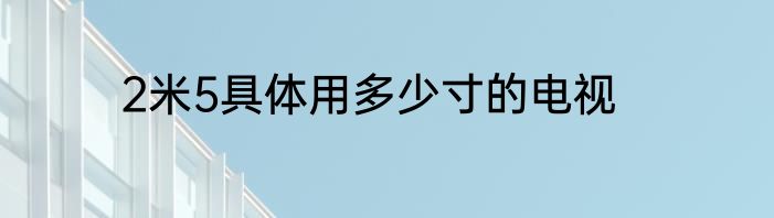 2米5具体用多少寸的电视