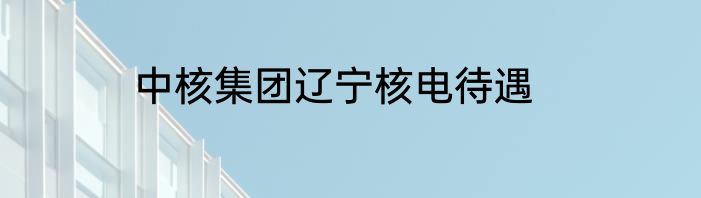 中核集团辽宁核电待遇