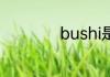 bushi是什么意思啊