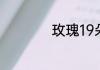 玫瑰19朵是什么意思