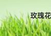 玫瑰花的十种用途