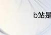 b站是指什么软件