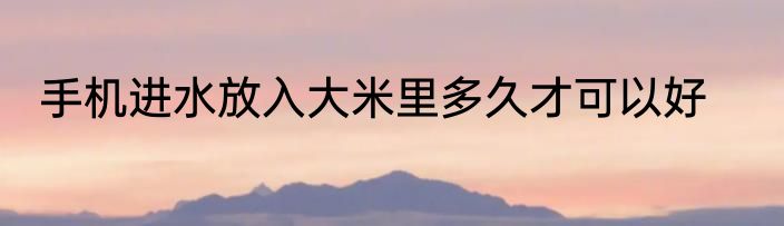 手机进水放入大米里多久才可以好