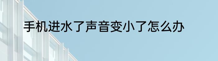 手机进水了声音变小了怎么办