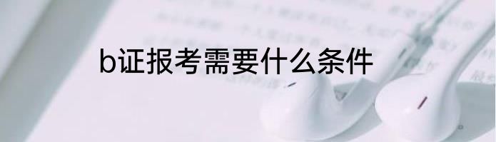 b证报考需要什么条件
