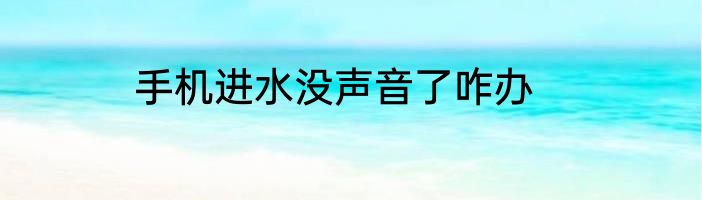 手机进水没声音了咋办