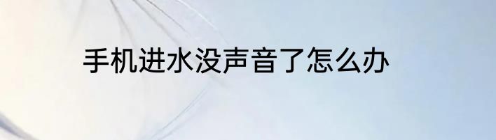 手机进水没声音了怎么办
