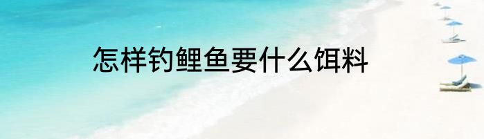 怎样钓鲤鱼要什么饵料