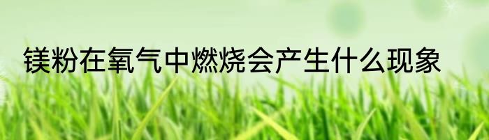 镁粉在氧气中燃烧会产生什么现象
