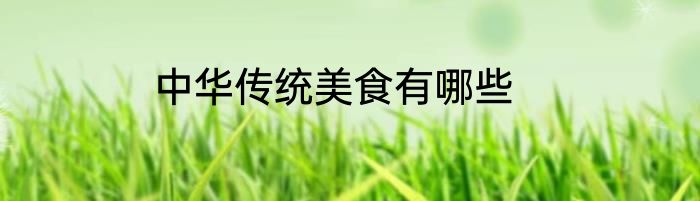 中华传统美食有哪些