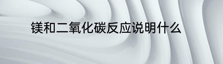 镁和二氧化碳反应说明什么