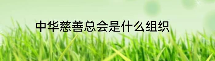 中华慈善总会是什么组织