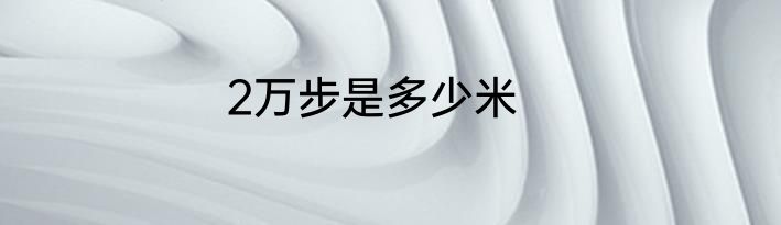 2万步是多少米