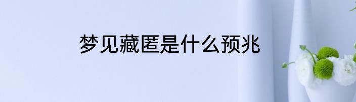 梦见藏匿是什么预兆