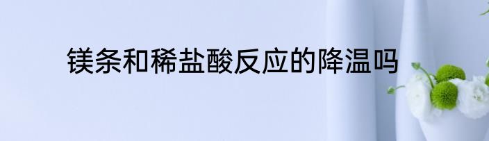 镁条和稀盐酸反应的降温吗