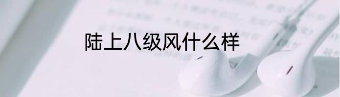 陆上八级风什么样