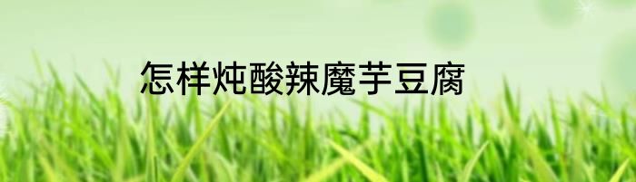 怎样炖酸辣魔芋豆腐
