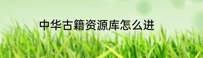中华古籍资源库怎么进