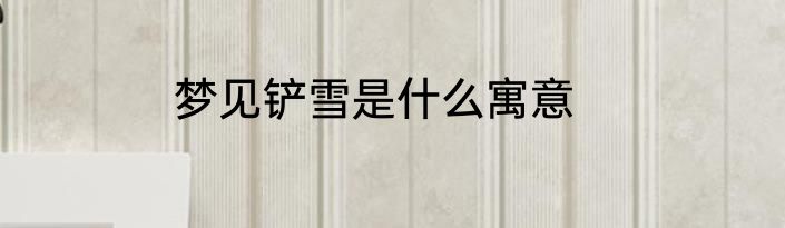 梦见铲雪是什么寓意
