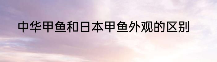 中华甲鱼和日本甲鱼外观的区别