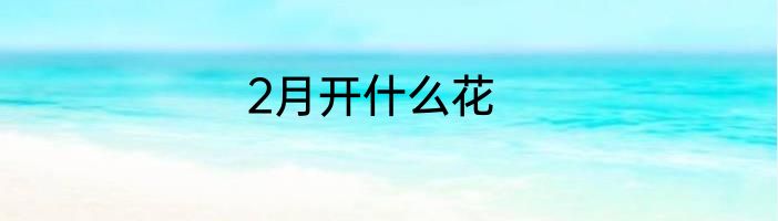2月开什么花