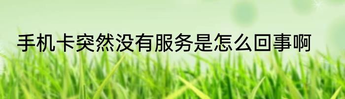 手机卡突然没有服务是怎么回事啊