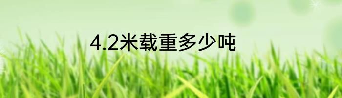 4.2米载重多少吨