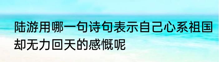 陆游用哪一句诗句表示自己心系祖国却无力回天的感慨呢