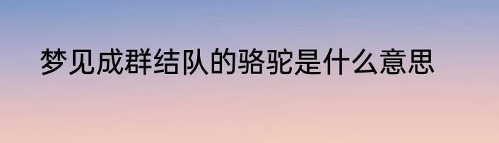 梦见成群结队的骆驼是什么意思