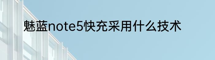 魅蓝note5快充采用什么技术