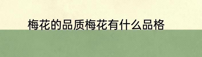 梅花的品质梅花有什么品格