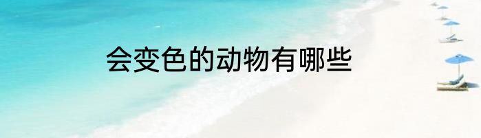 会变色的动物有哪些
