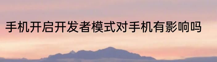 手机开启开发者模式对手机有影响吗