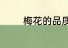 梅花的品质梅花有什么品格