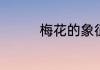 梅花的象征意义优秀作文