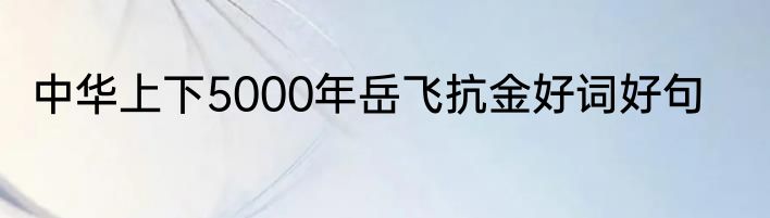 中华上下5000年岳飞抗金好词好句