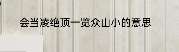 会当凌绝顶一览众山小的意思
