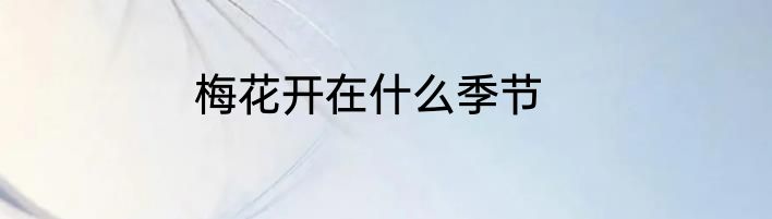 梅花开在什么季节