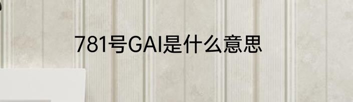 781号GAI是什么意思
